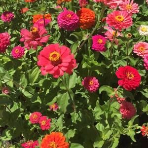 Meet your Posher, Evryn